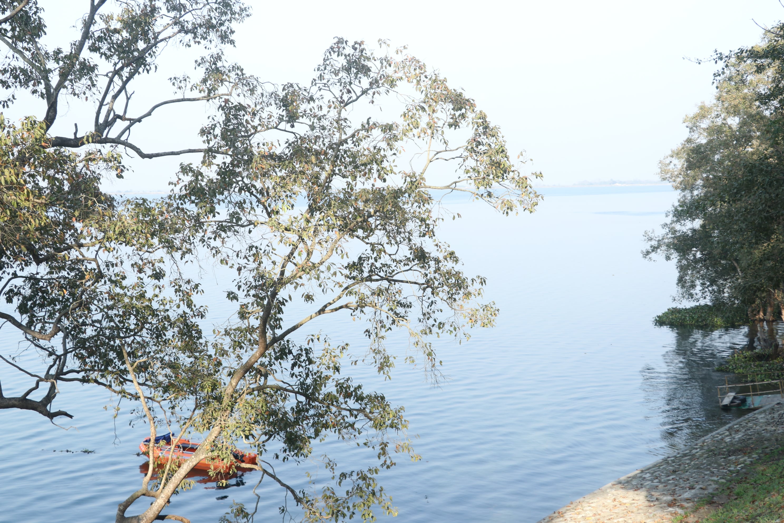 Pilibhit Tiger Reserve Wildlife Sanctuary Photo 49