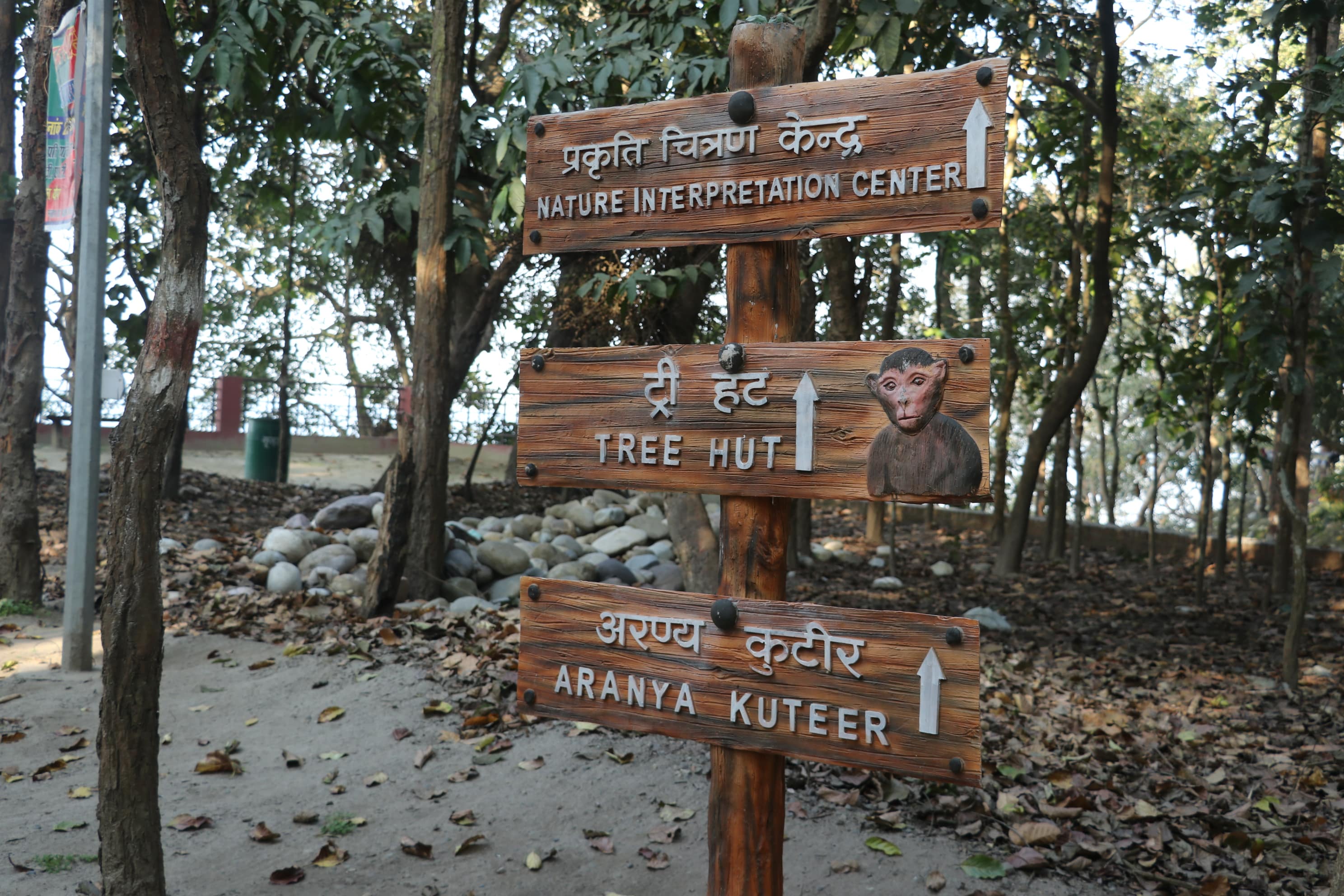 Pilibhit Tiger Reserve Wildlife Sanctuary Photo 50