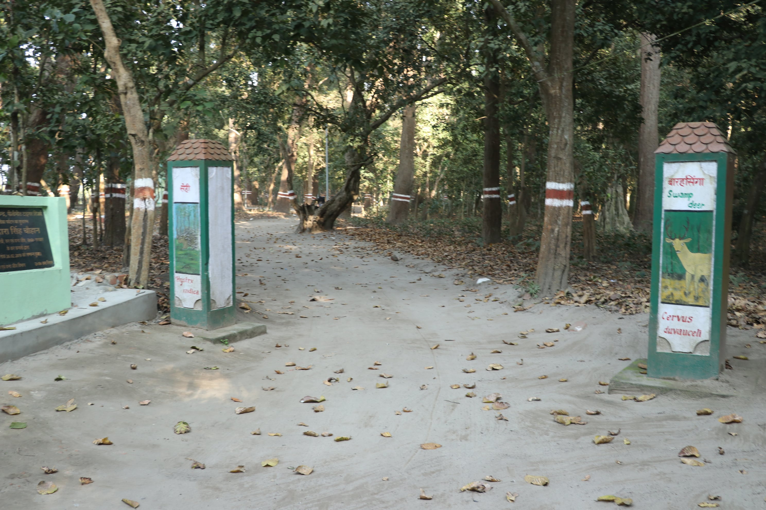 Pilibhit Tiger Reserve Wildlife Sanctuary Photo 52