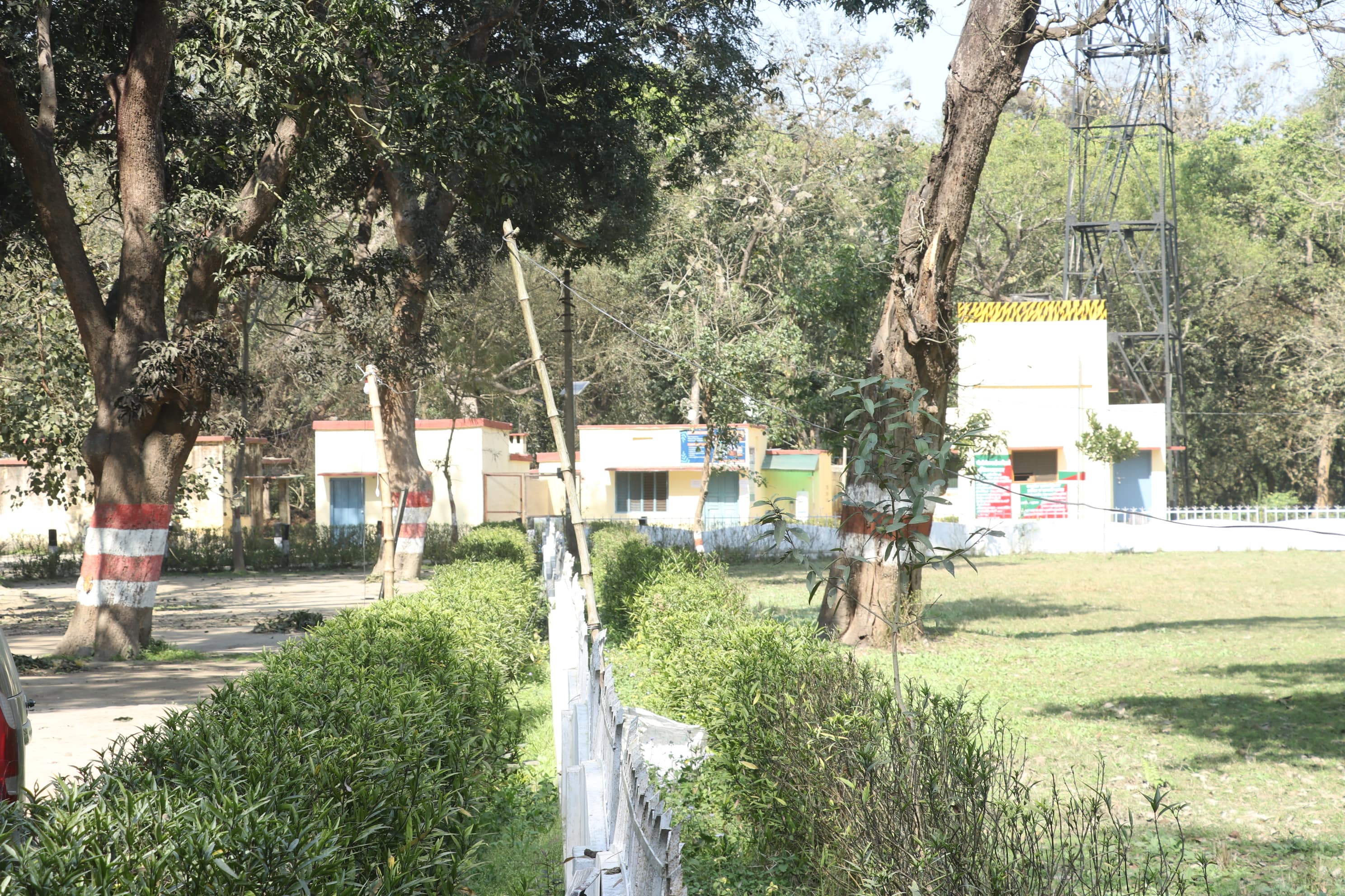 Pilibhit Tiger Reserve Wildlife Sanctuary Photo 6