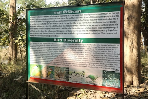 jhadi taal kishanpur sanctuary dudhwa