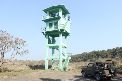 jhand taal pilibhit tiger reserve