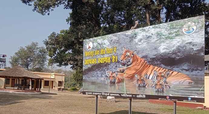 Book Kishanpur Wildlife Sanctuary Safari