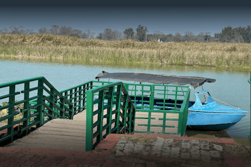 Katarniaghat boat safari