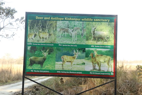 kishanpur tiger reserve