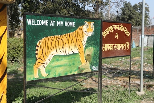 kishanpur tiger reserve