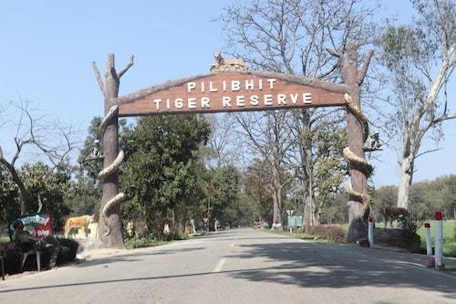 pilibit tiger reserve