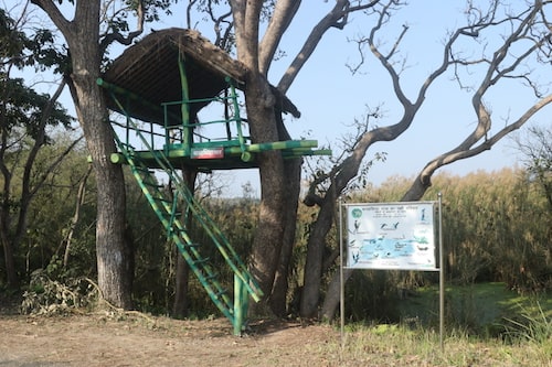 swamp deer lake (barasingha taal pilibhit tiger reserve)