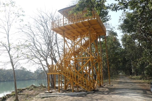 swamp deer lake (barasingha taal pilibhit tiger reserve)