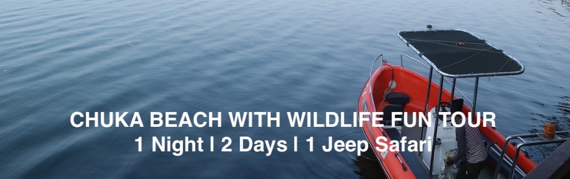 dudhwa national park holiday tour packages