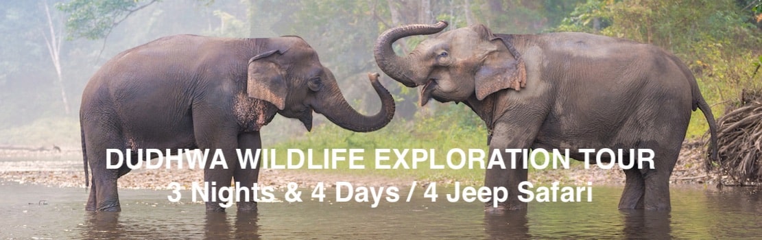 Kishanpur dudhwa national park holiday tour packages