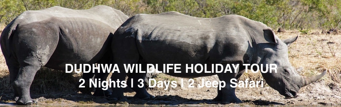 Kishanpur dudhwa national park holiday tour packages