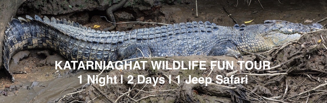Katarniaghat national park holiday tour packages