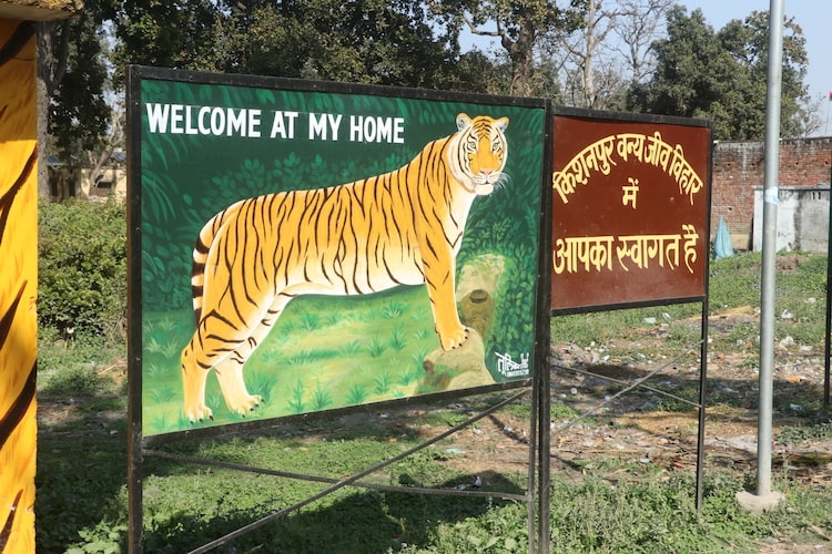 dudhwa wildlife fun tour 1 night 2 days with 1 jeep safari