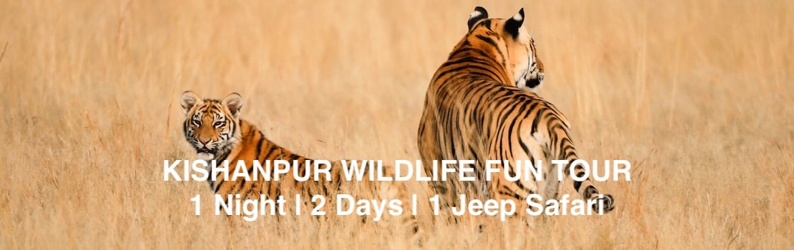 Kishanpur dudhwa national park holiday tour packages